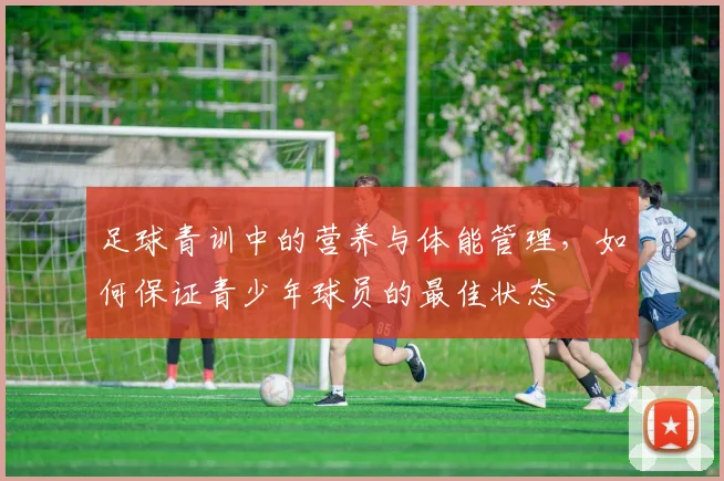 足球青训中的营养与体能管理，如何保证青少年球员的最佳状态