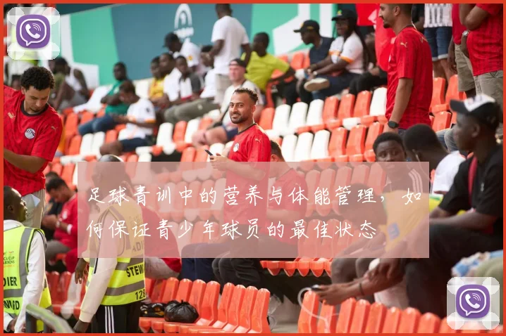 足球青训中的营养与体能管理,如何保证青少年球员的最佳状态